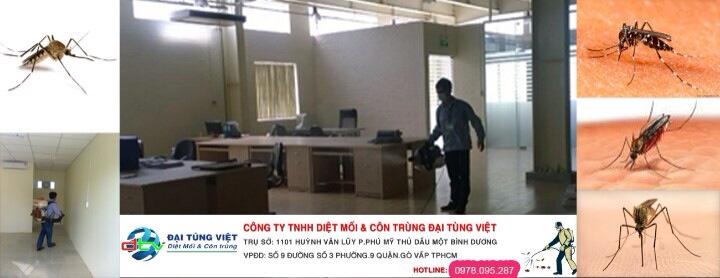 Dịch Vụ Diệt Côn Trùng - Công Ty TNHH Trừ Mối Và Côn Trùng Đại Tùng Việt